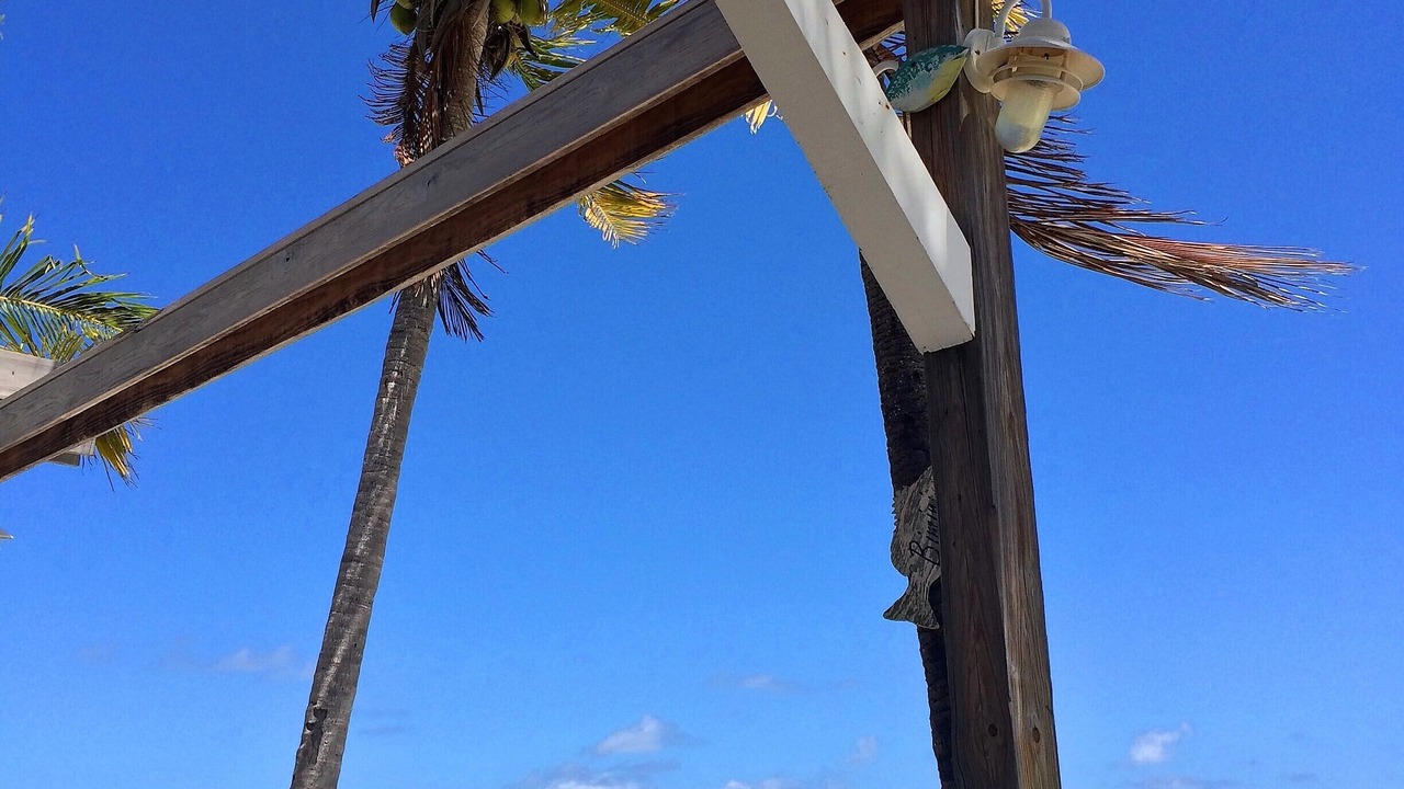 Photo of Others in Bahama Reef