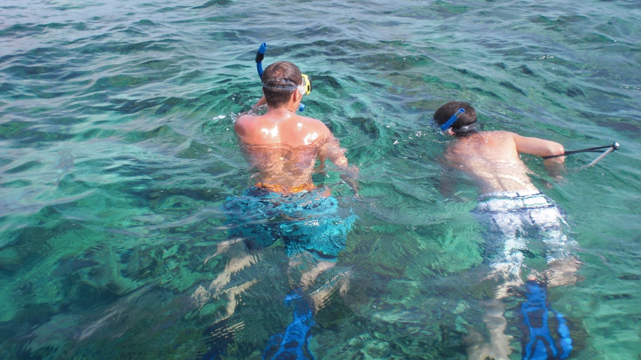 Photo of Others in Bahama Reef