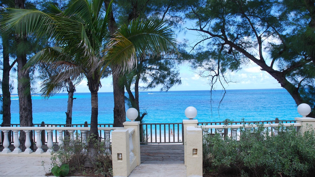 Photo of Others in Paradise Island