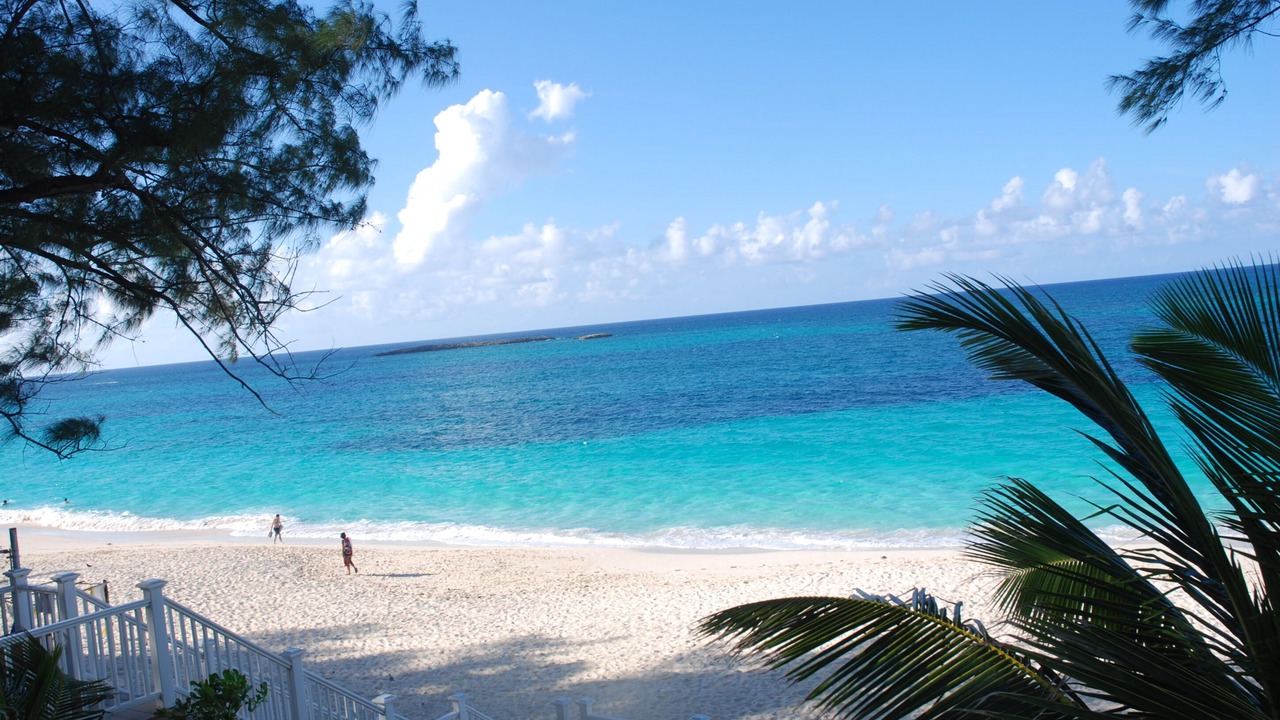 Photo of Others in Paradise Island