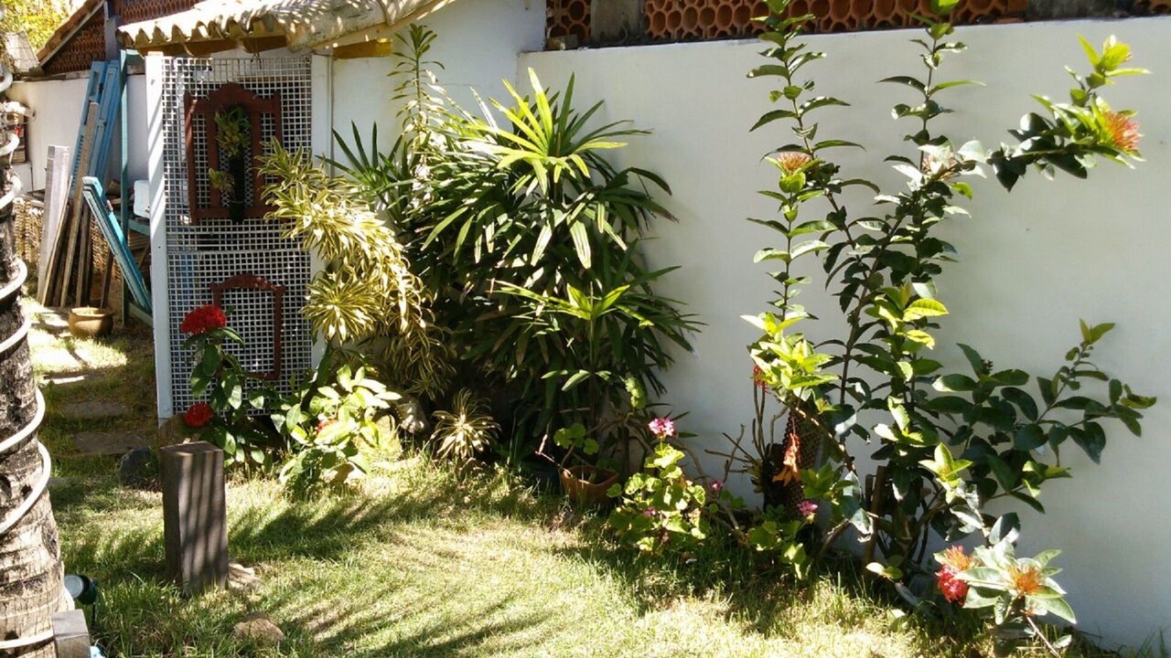 Photo of Outdoor in Pero