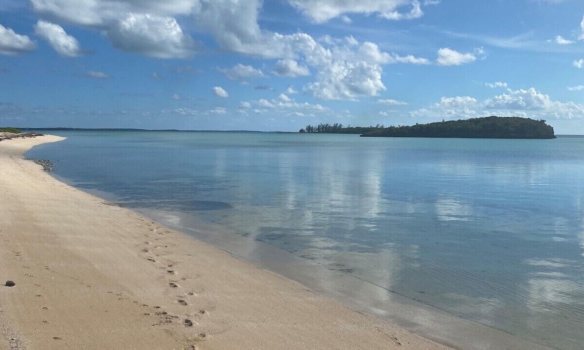 Photo of Others in South Palmetto Point