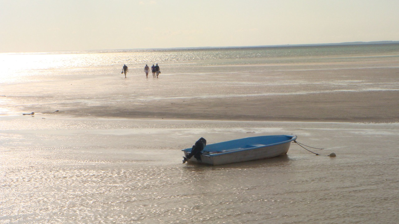 Photo of Others in Little Harbour