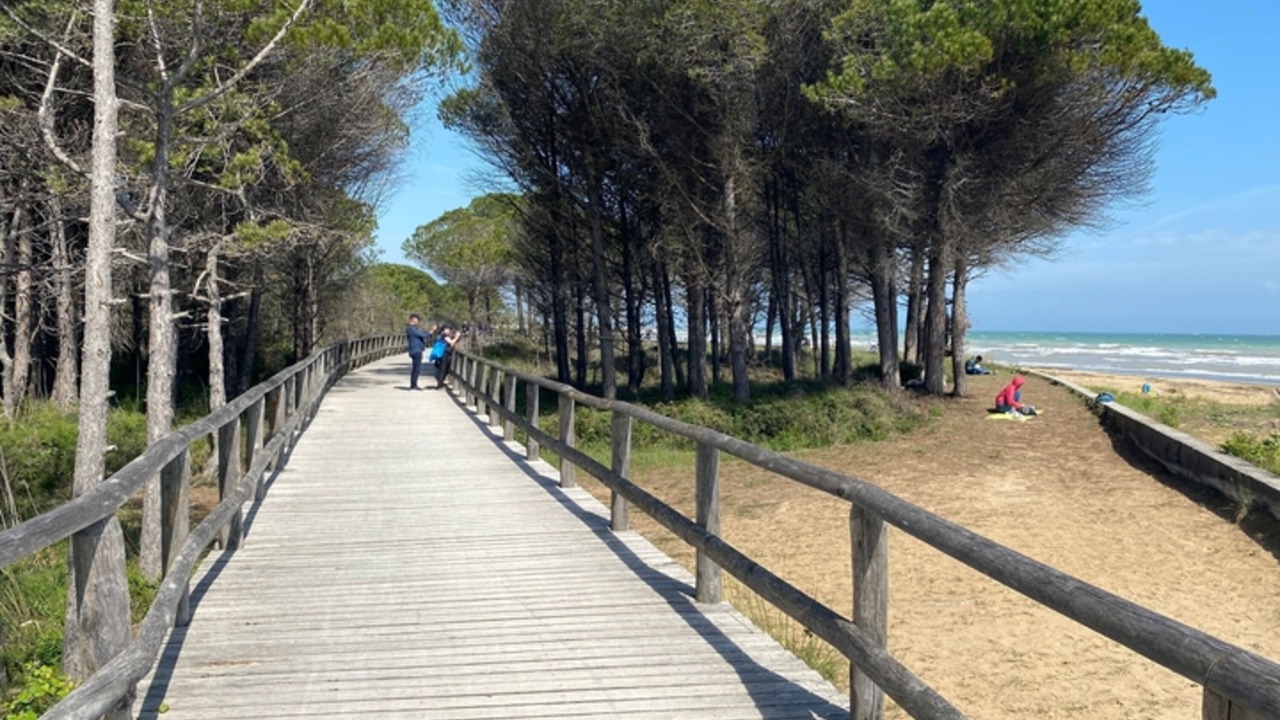 Photo of Others in Bibione