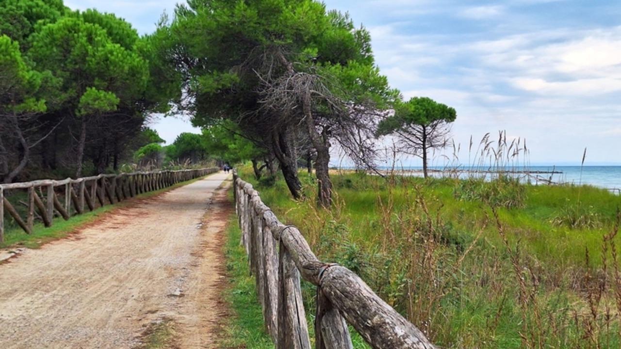 Photo of Others in Bibione
