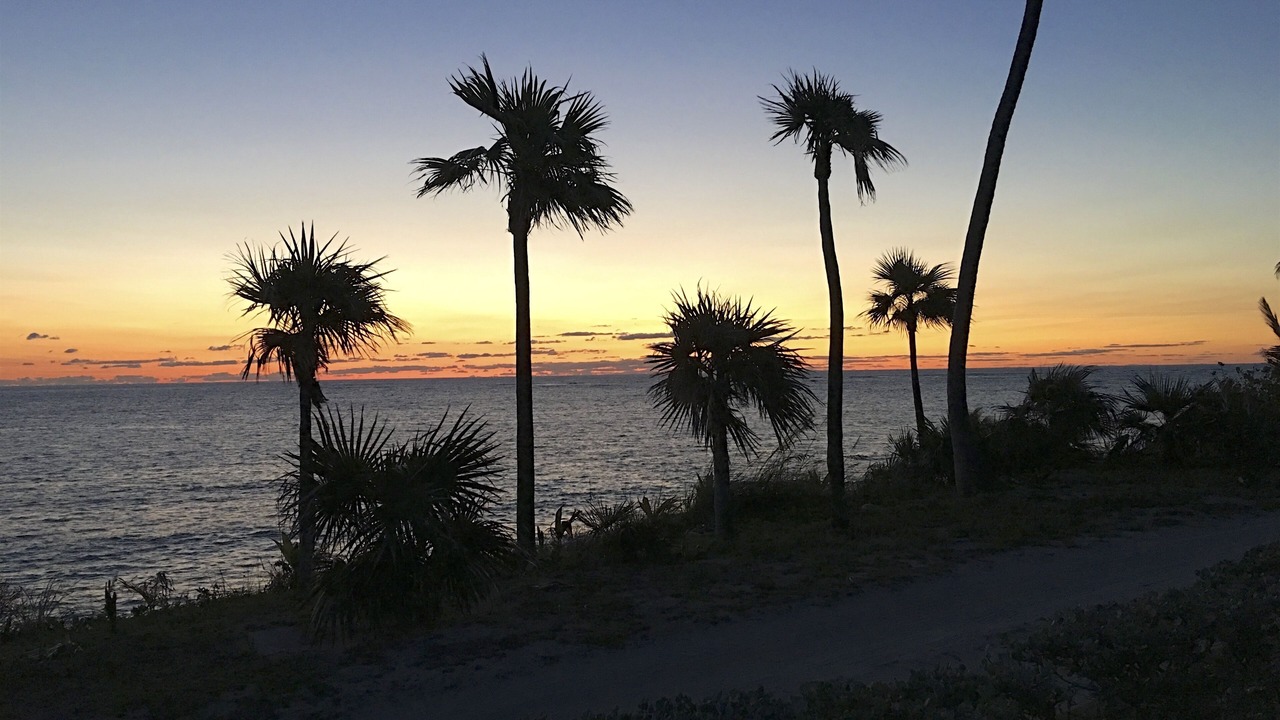 Photo of Others in North Palmetto Point
