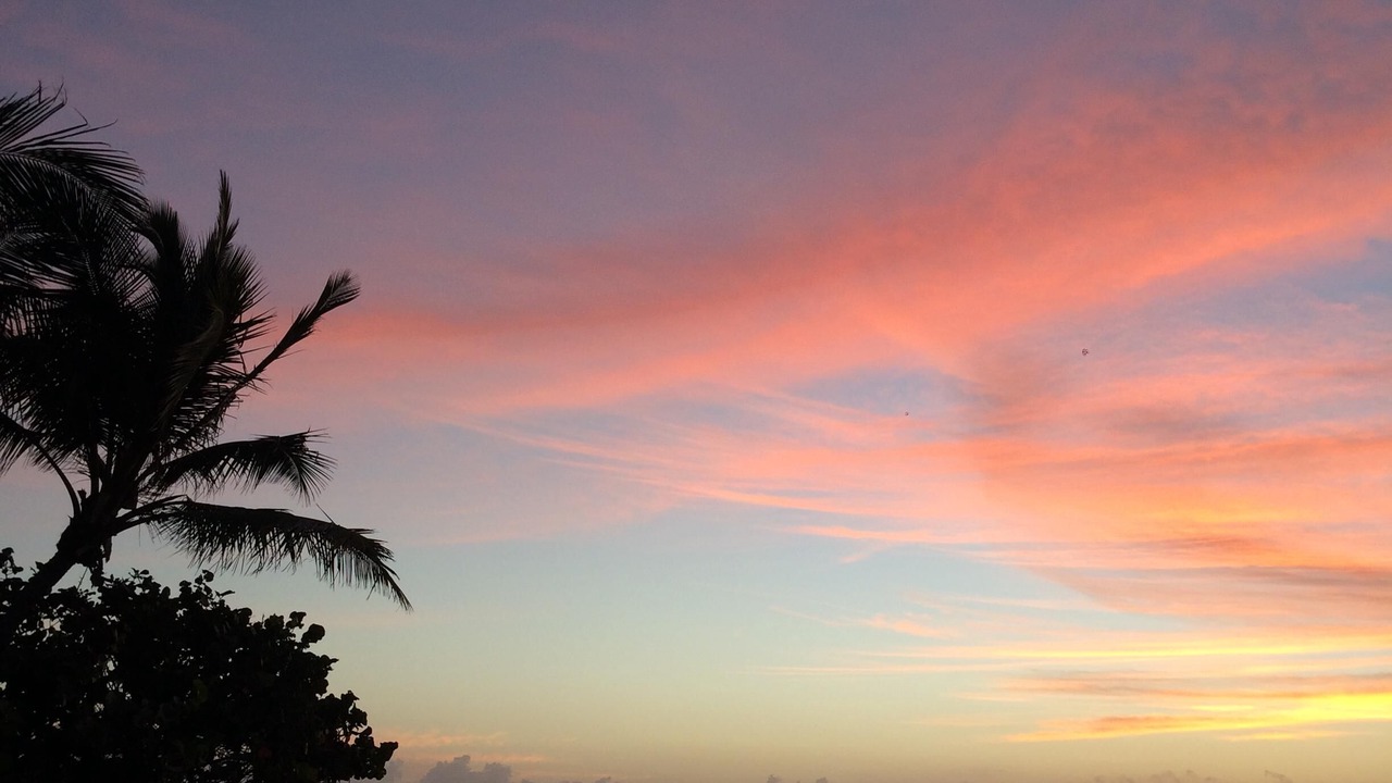 Photo of Others in Treasure Cay