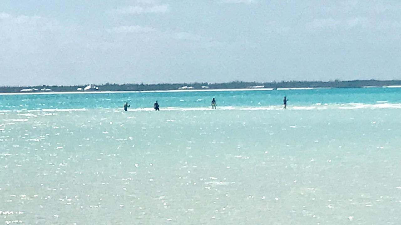 Photo of Others in Treasure Cay