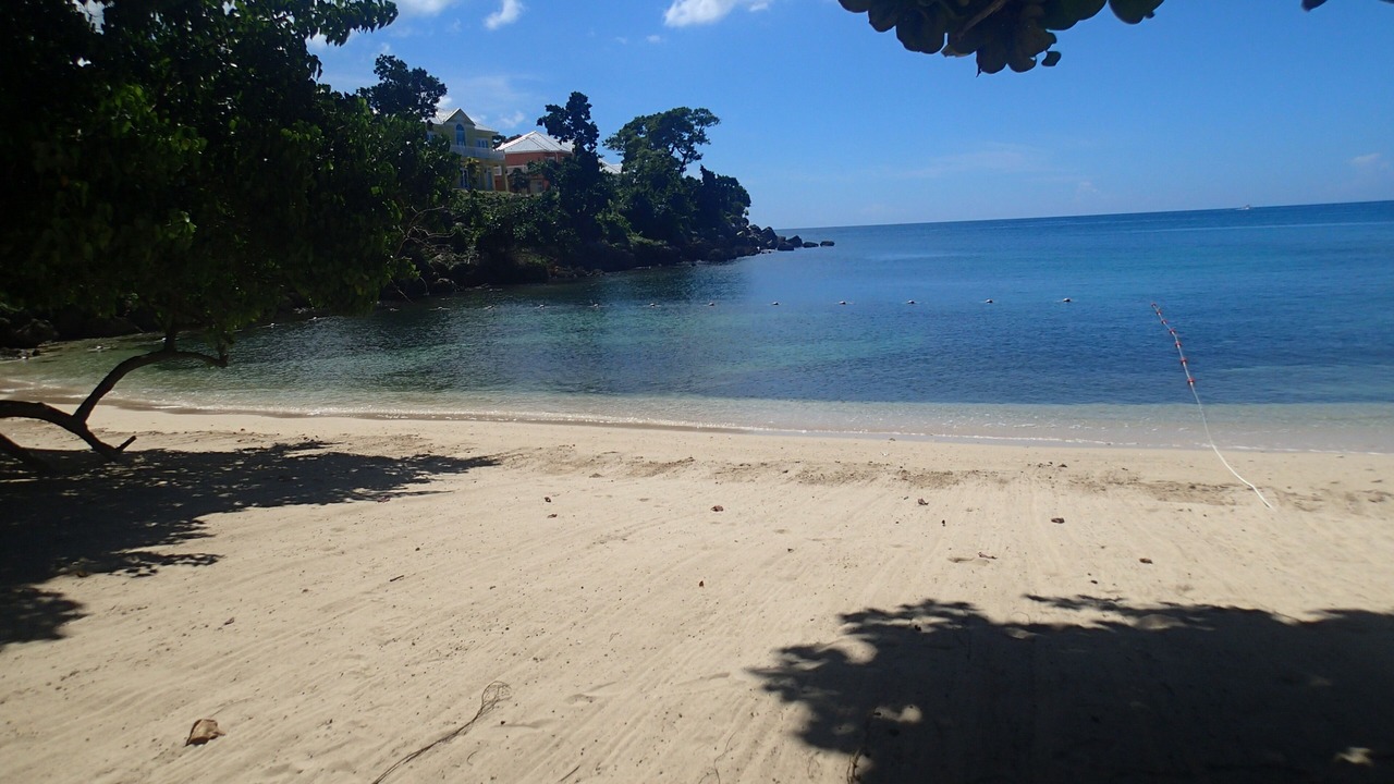 Photo of Others in Orange Bay