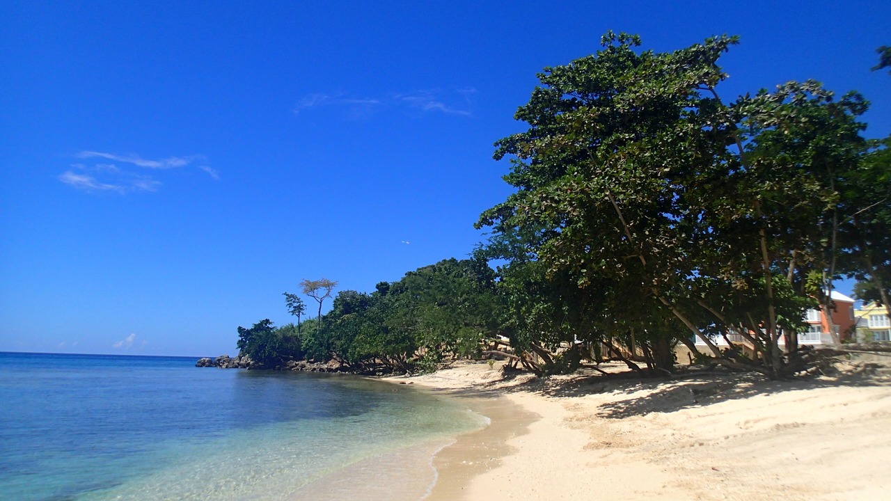 Photo of Others in Orange Bay