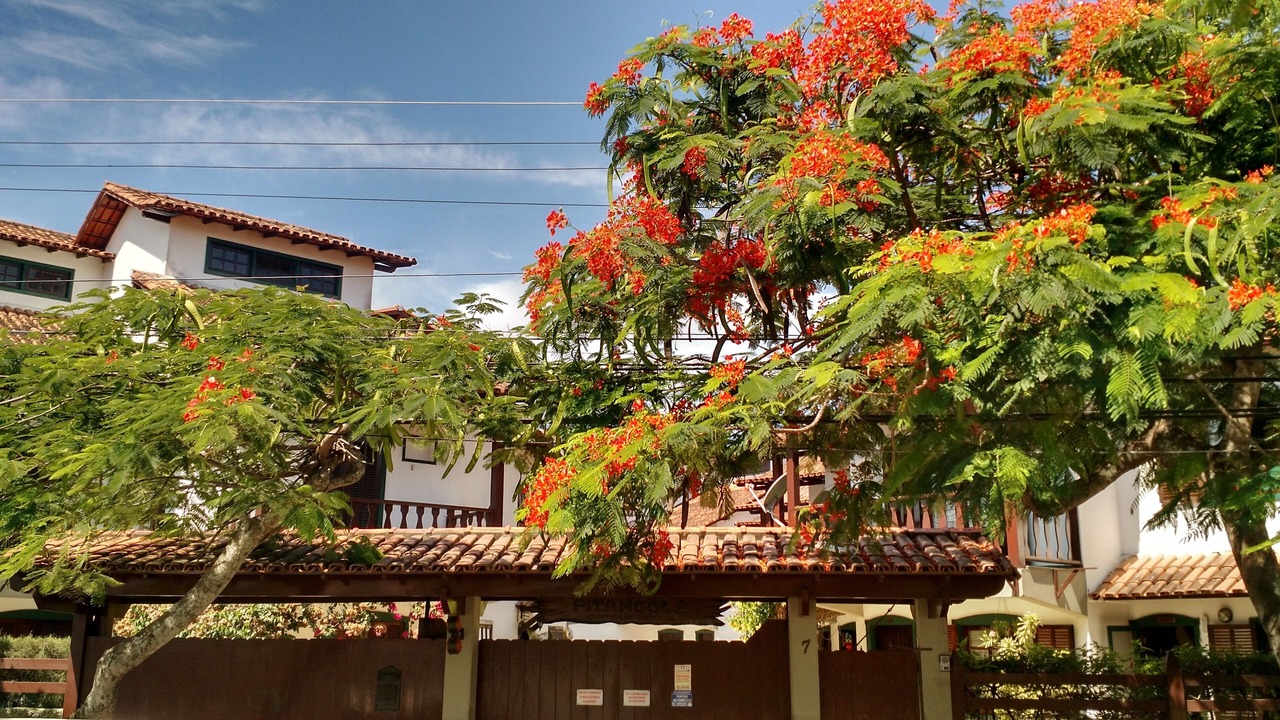 Photo of Outdoor in Pero