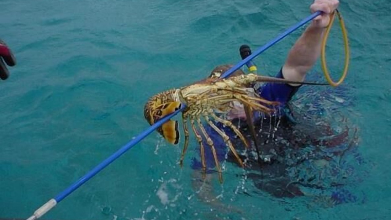 Photo of Others in Great Guana Cay