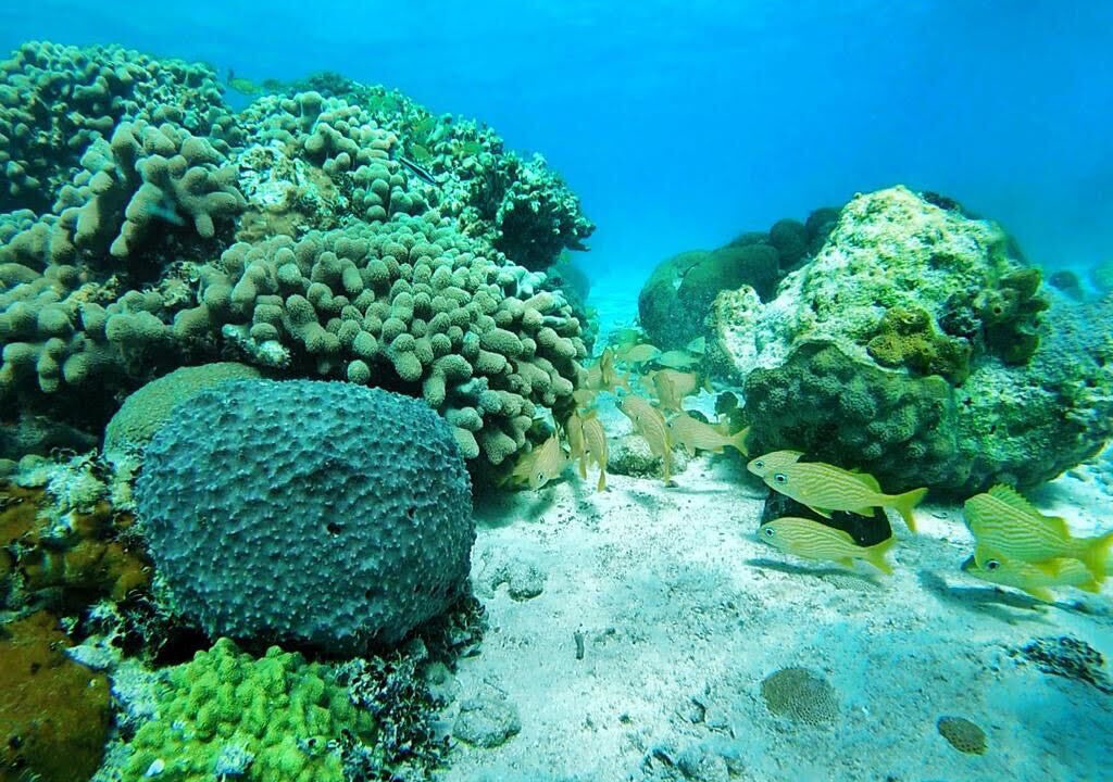 Photo of Others in Rainbow Bay