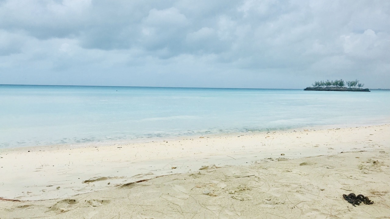 Photo of Others in Rainbow Bay