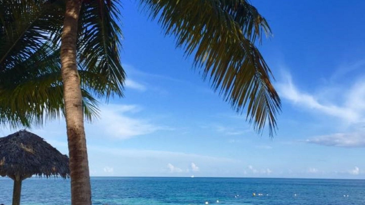 Photo of Others in Bahamas Terrace