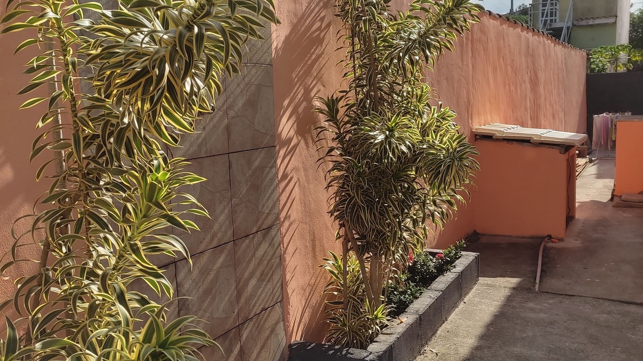 Photo of Outdoor in Cabo Frio