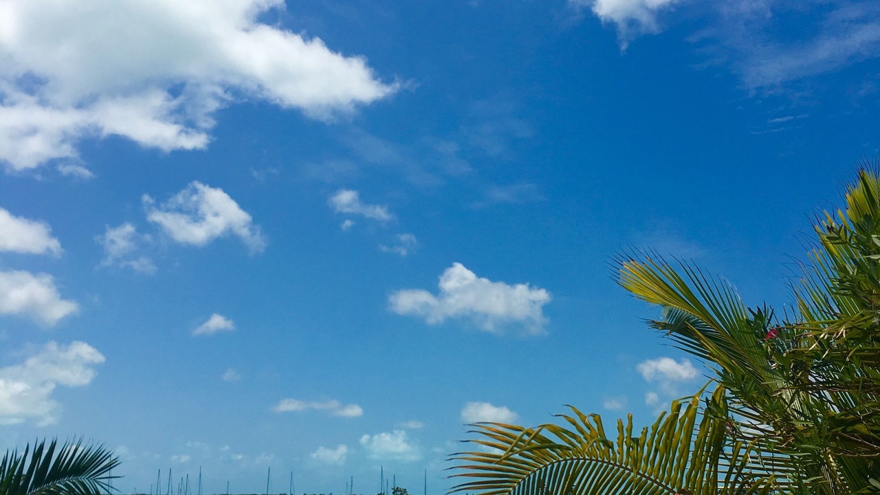 Photo of Others in Great Exuma