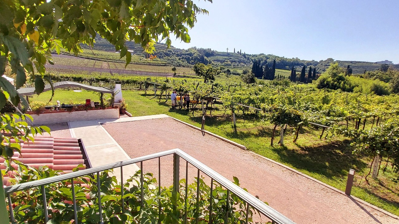 Photo of Outdoor in Negrar