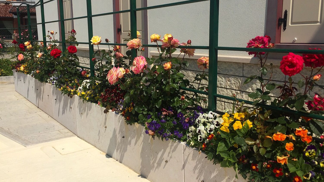 Photo of Outdoor in Negrar