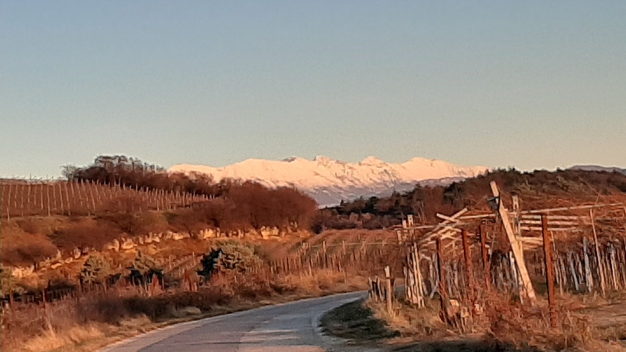 Photo of Outdoor in Negrar