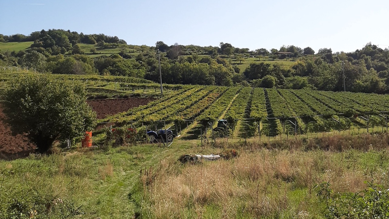 Photo of Outdoor in Negrar