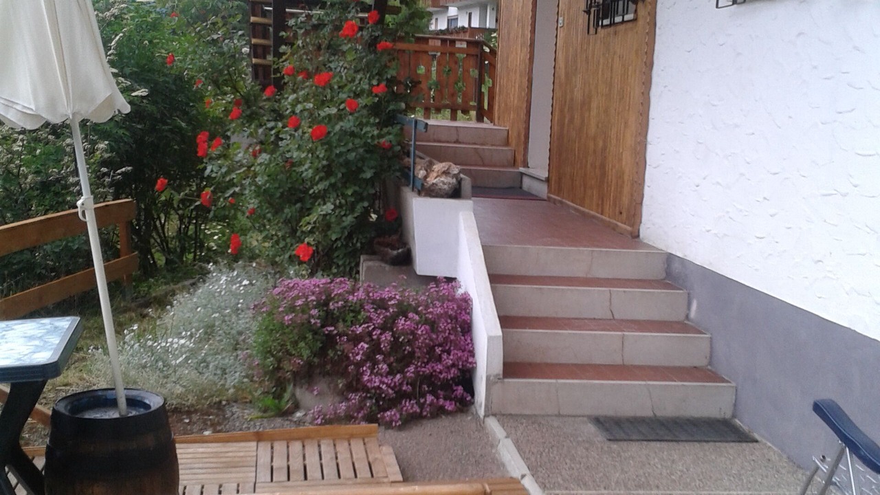 Photo of Patio Balcony in Padola