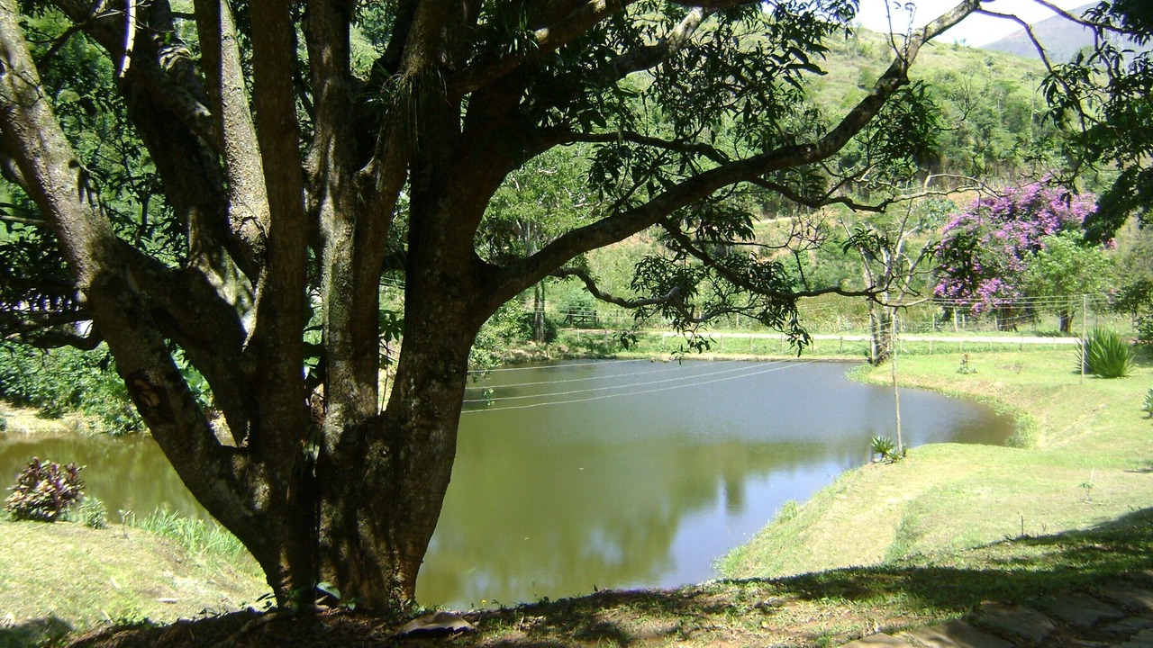 Photo of Outdoor in Petropolis
