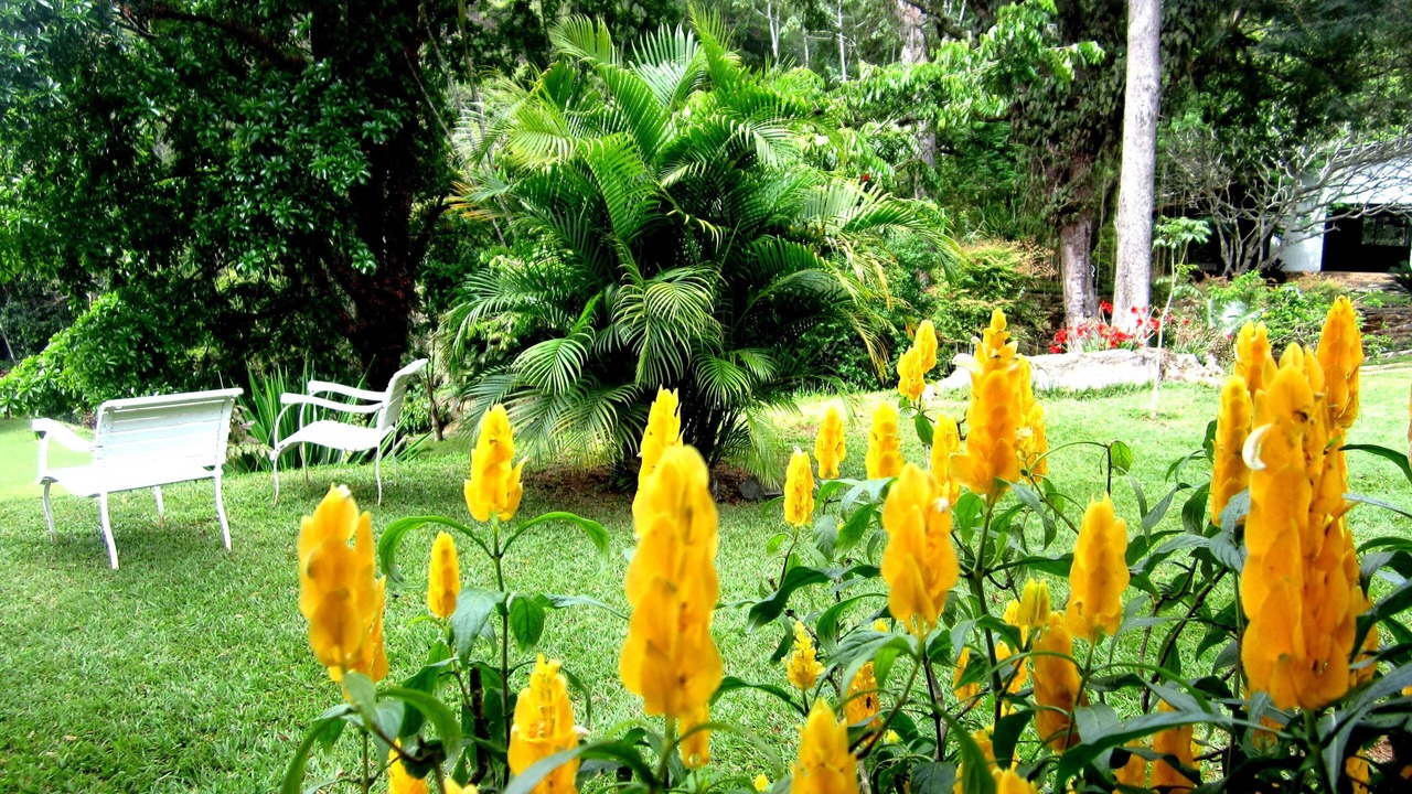 Photo of Outdoor in Petropolis