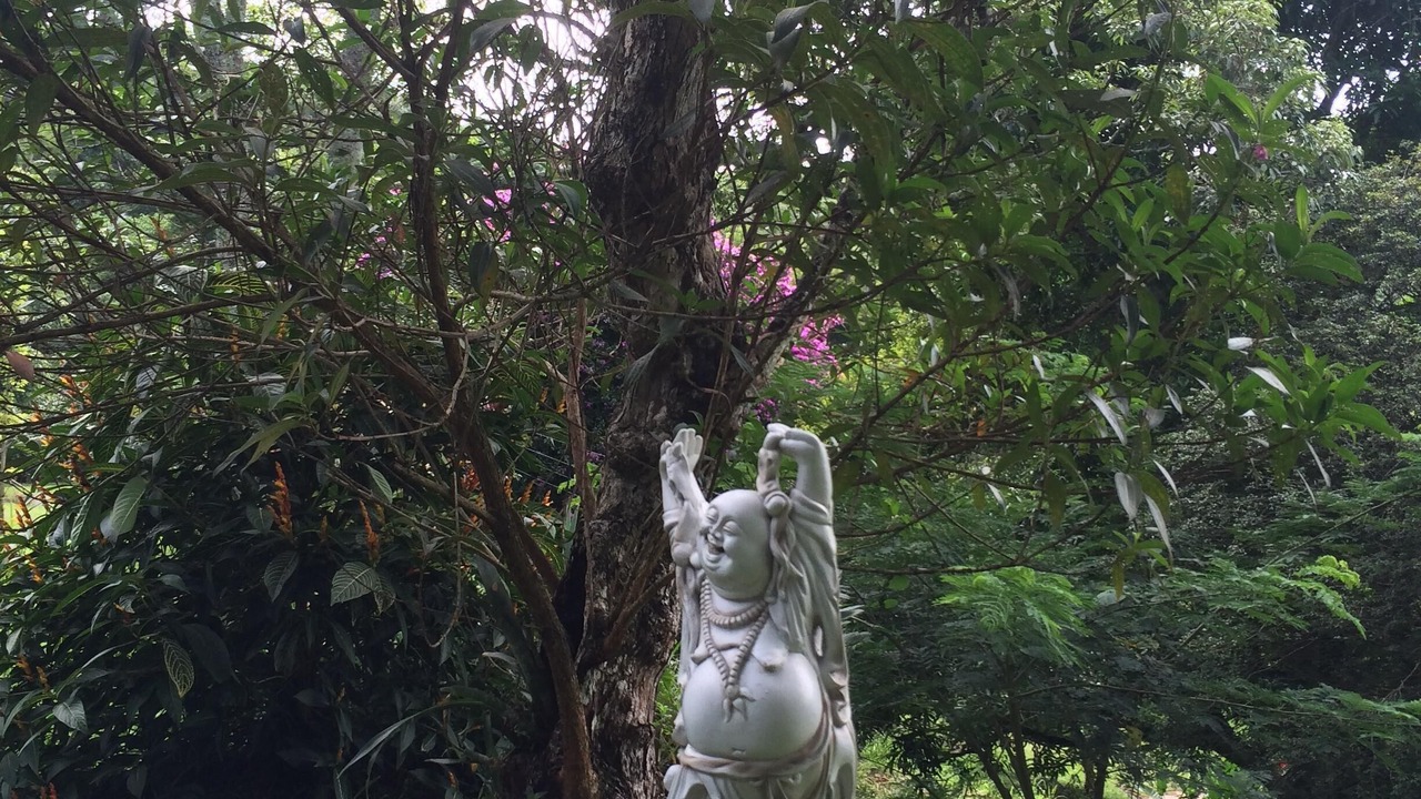 Photo of Outdoor in Petropolis