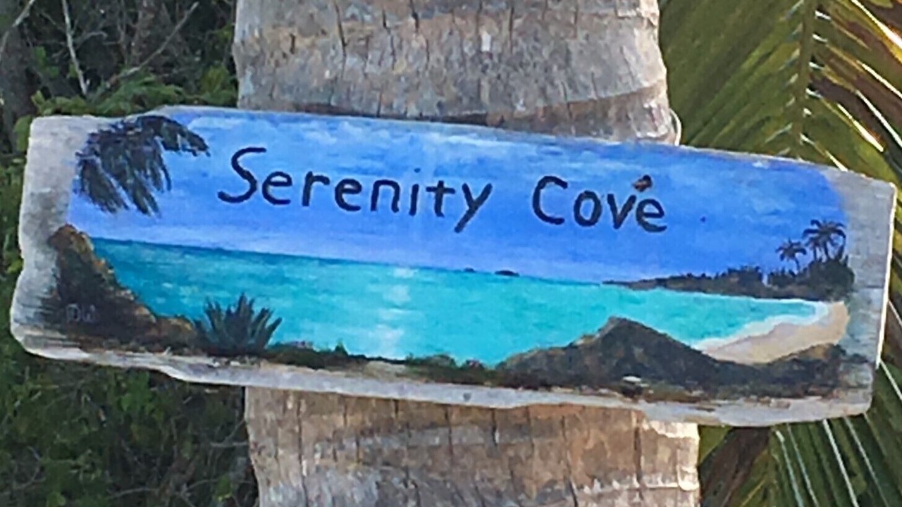Photo of Others in South Palmetto Point