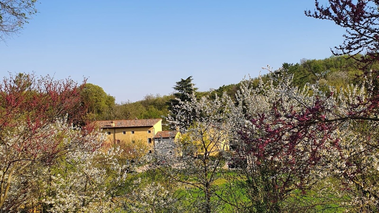 Photo of Outdoor in Castegnero