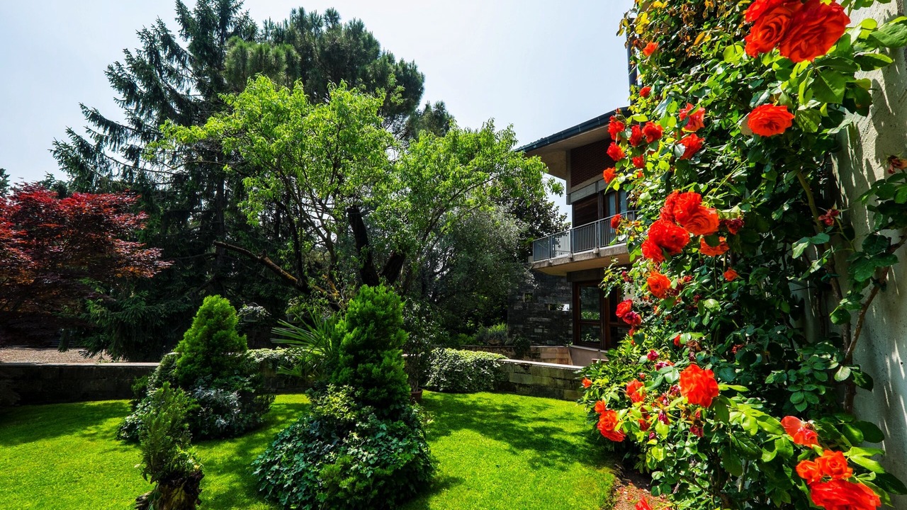 Photo of Outdoor in Arbizzano