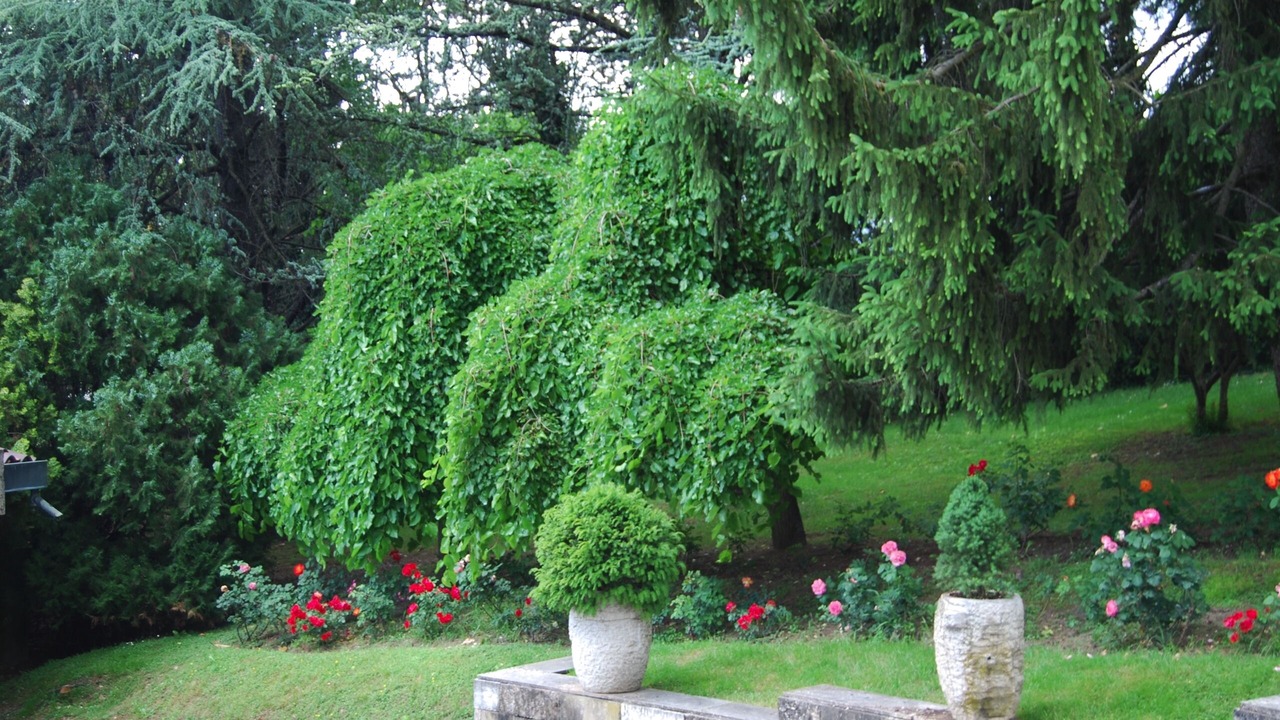Photo of Outdoor in Arbizzano