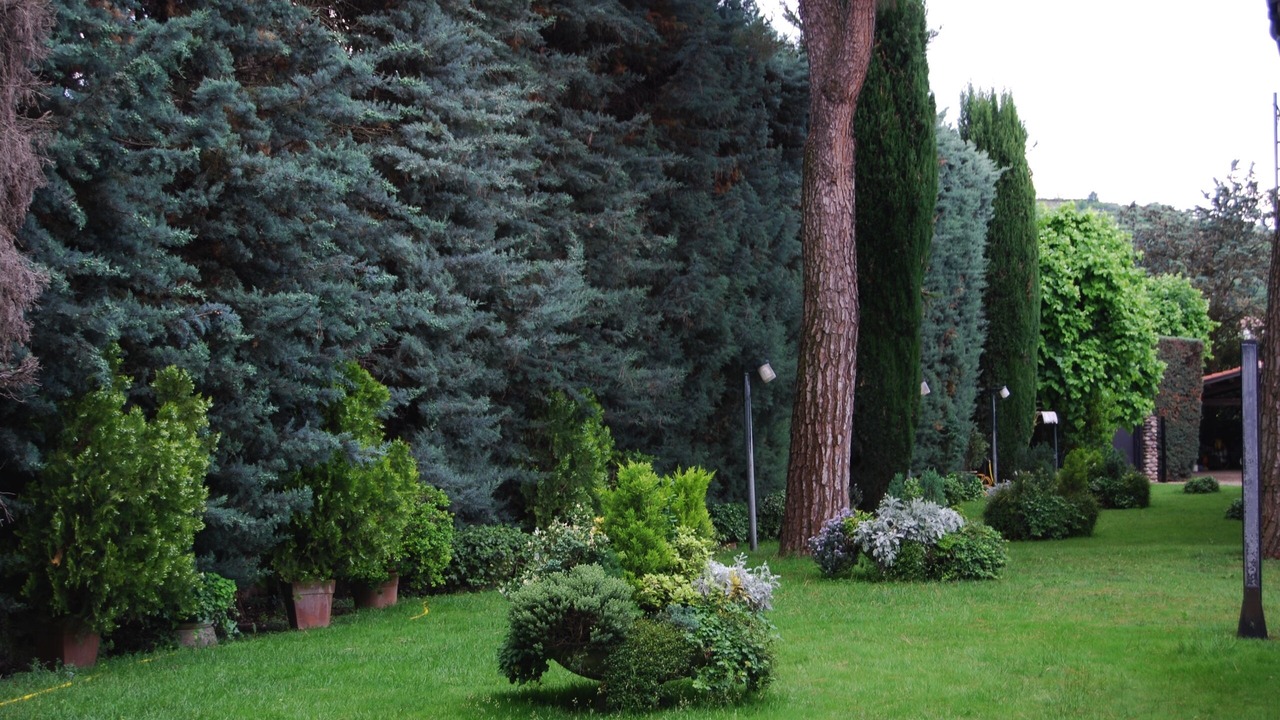 Photo of Outdoor in Arbizzano