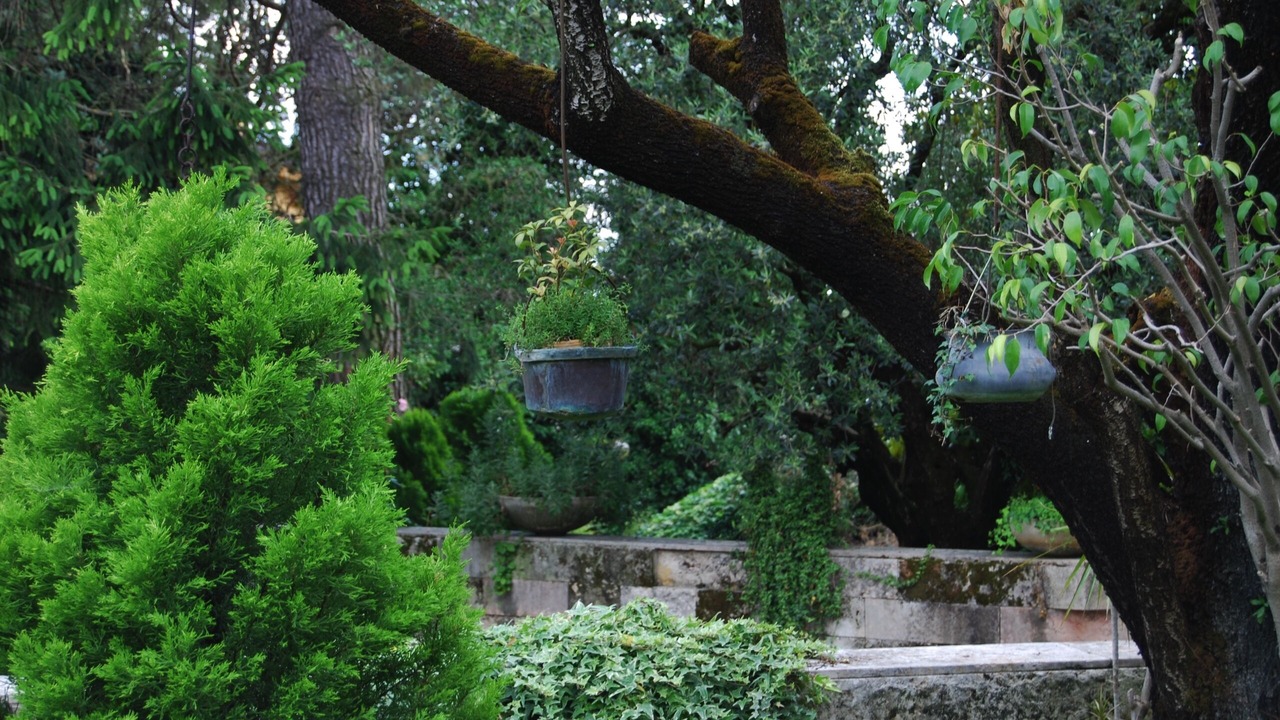 Photo of Outdoor in Arbizzano