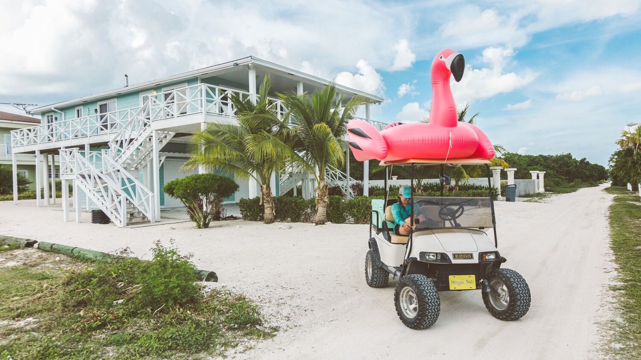Photo of Others in Port Royal