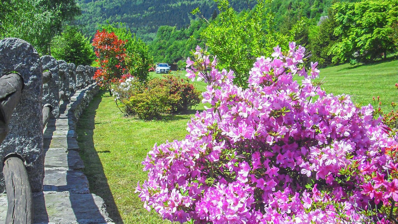 Photo of Outdoor in Croveo