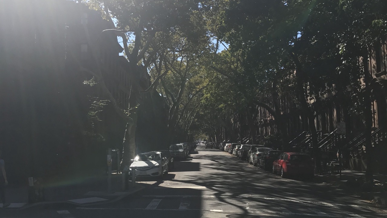 Photo of Others in Fort Greene