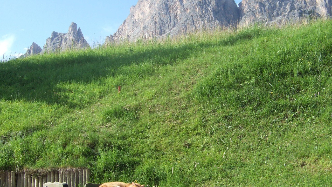 Photo of Outdoor in Cortina d'Ampezzo