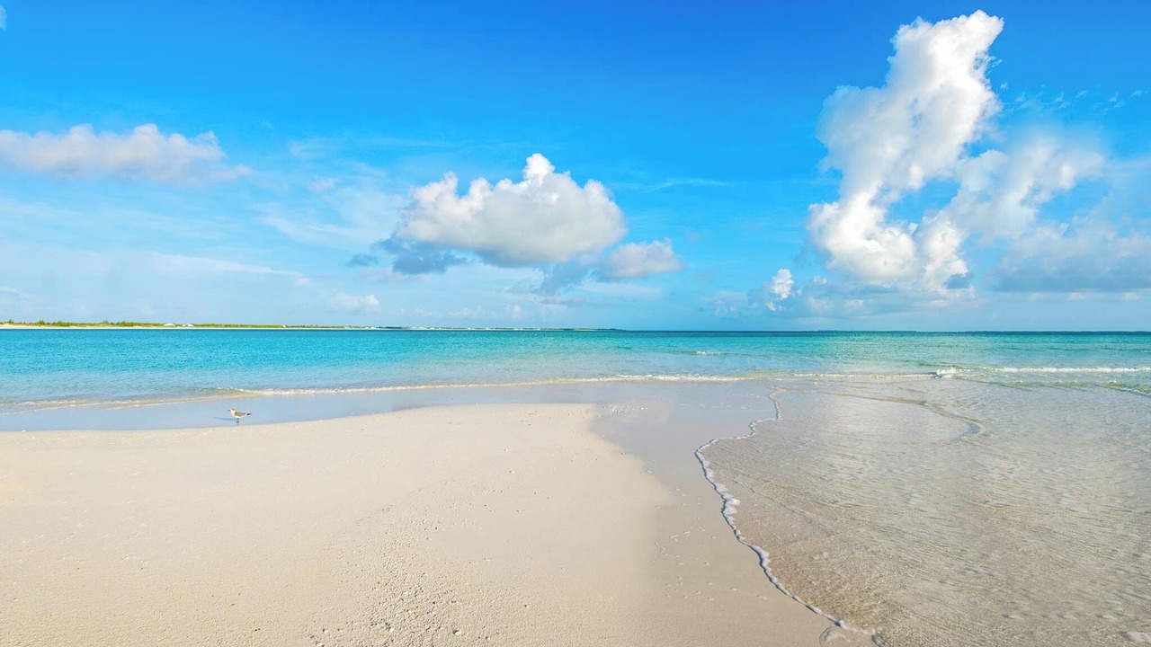 Photo of Others in Treasure Cay