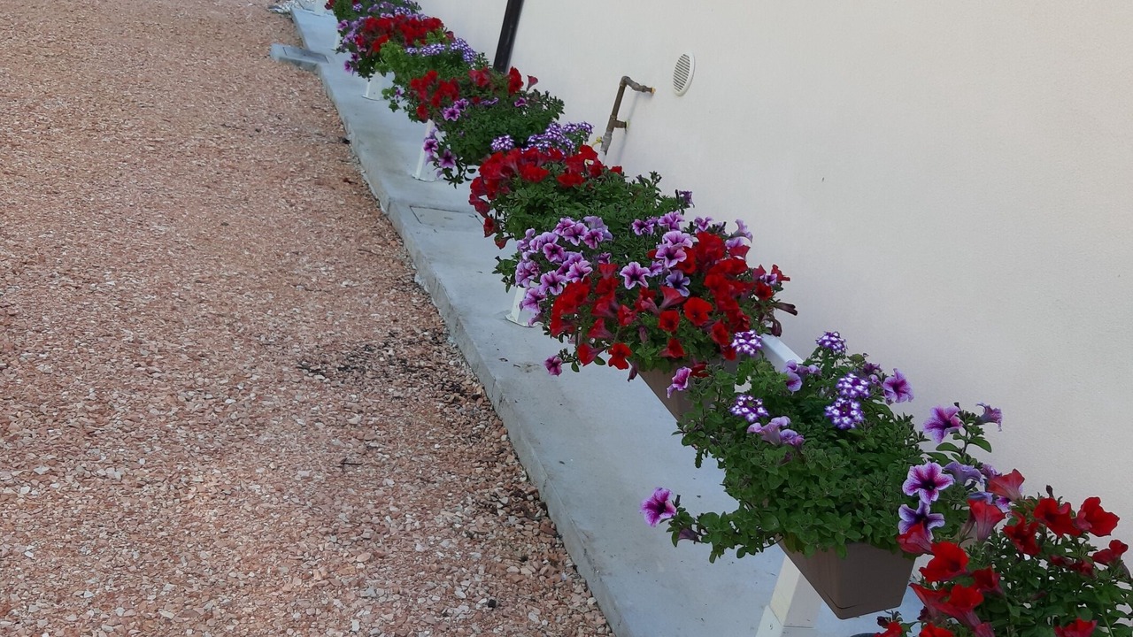 Photo of Outdoor in San Benedetto di Lugana