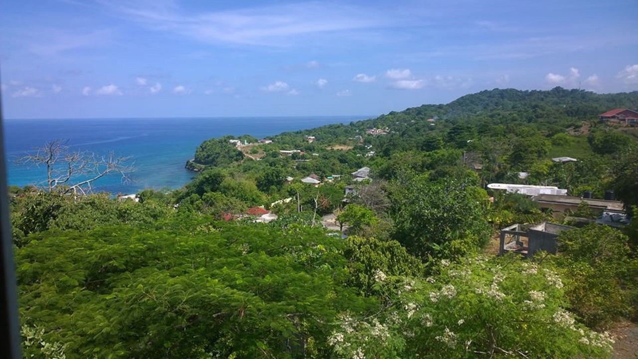 Photo of Others in Long Bay