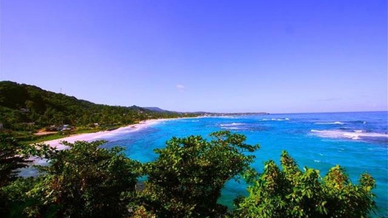 Photo of Others in Long Bay