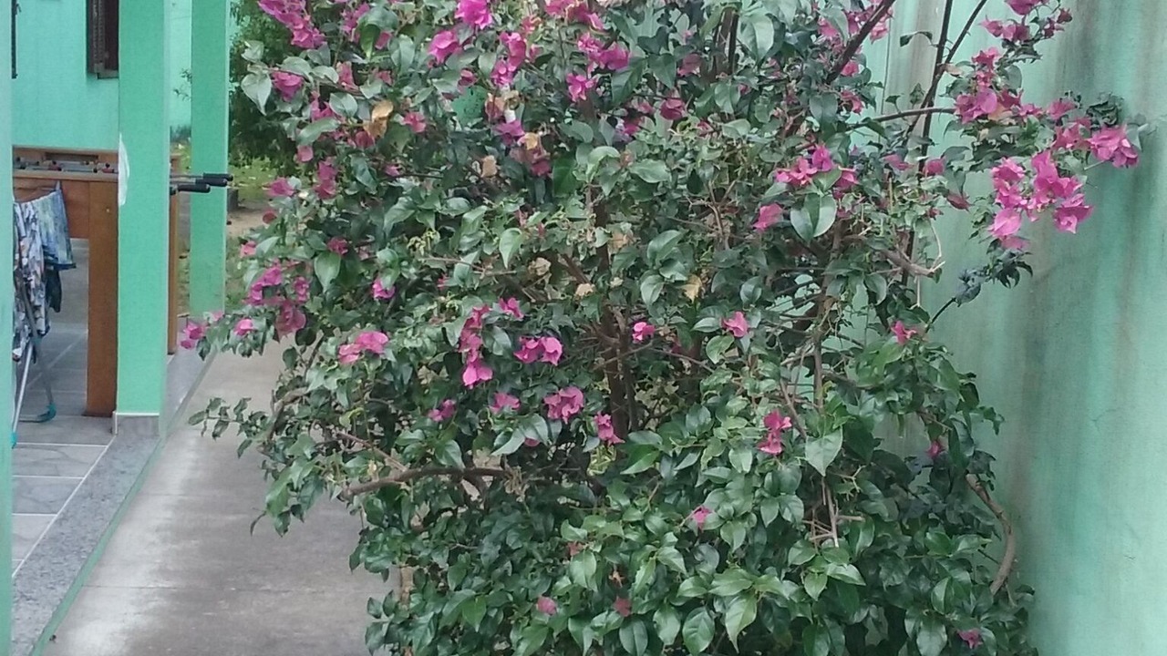 Photo of Outdoor in Barra de Sao Joao