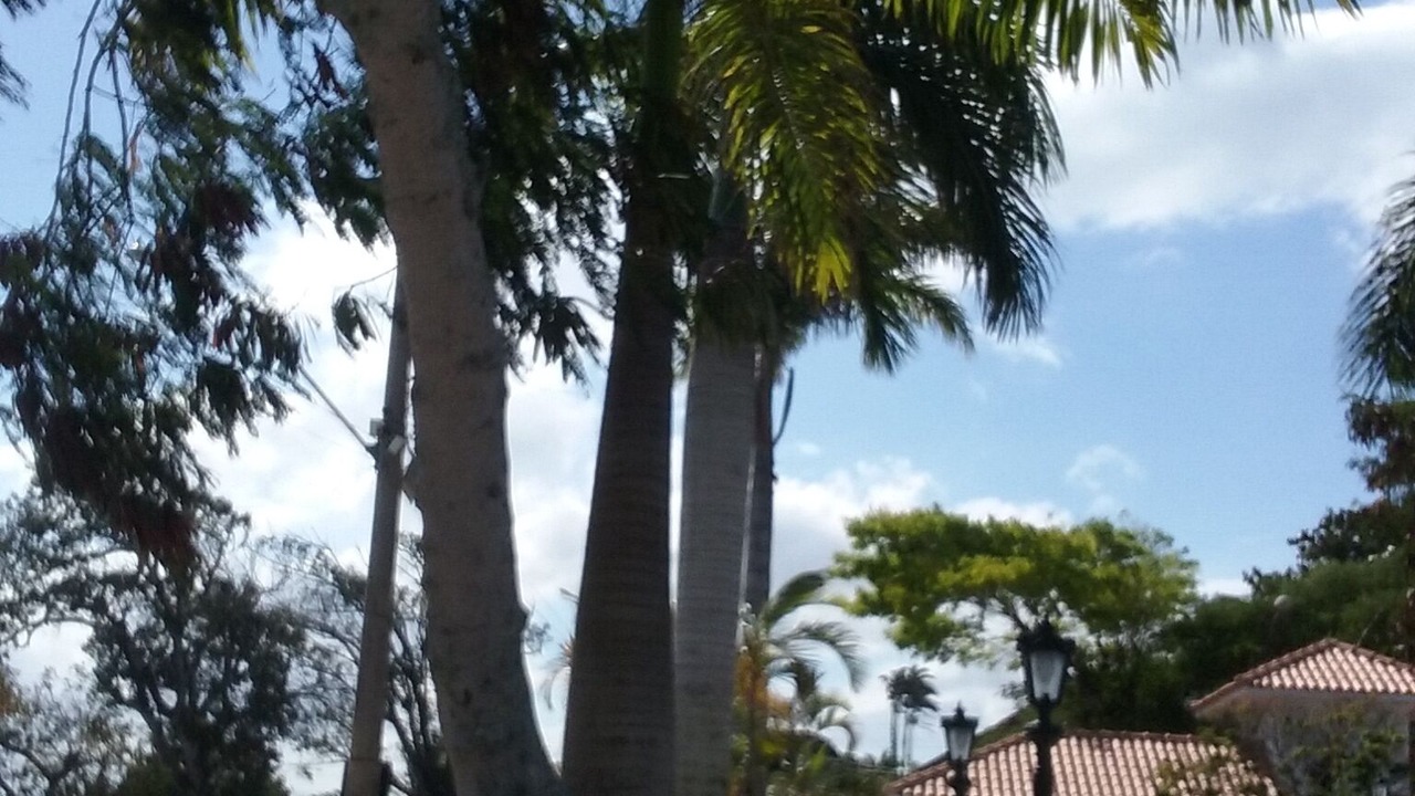 Photo of Outdoor in Barra de Sao Joao