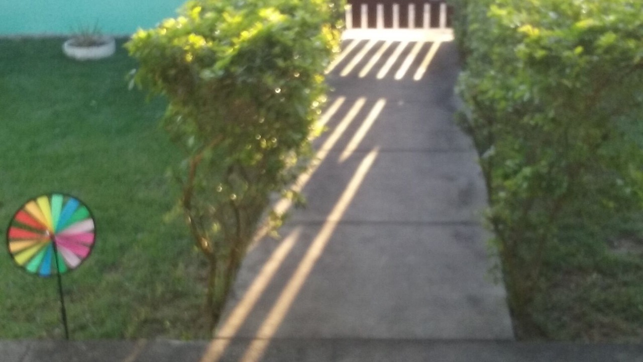 Photo of Outdoor in Barra de Sao Joao