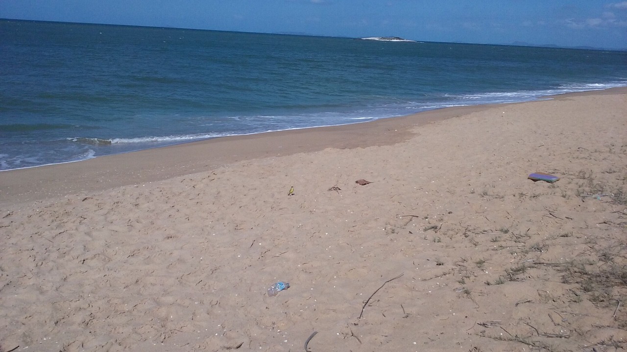 Photo of Others in Barra de Sao Joao