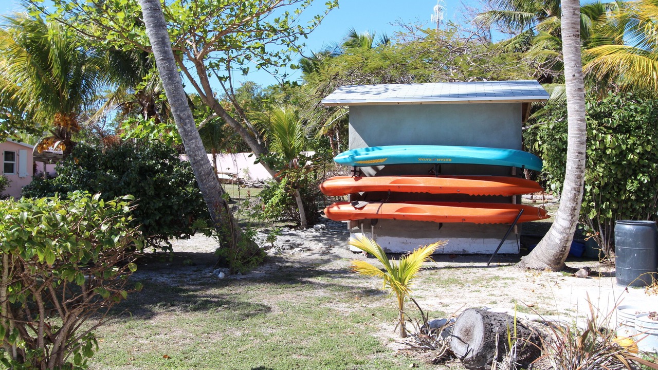 Photo of Others in Andros Town