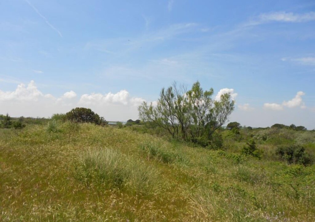 Photo of Outdoor in Rosapineta