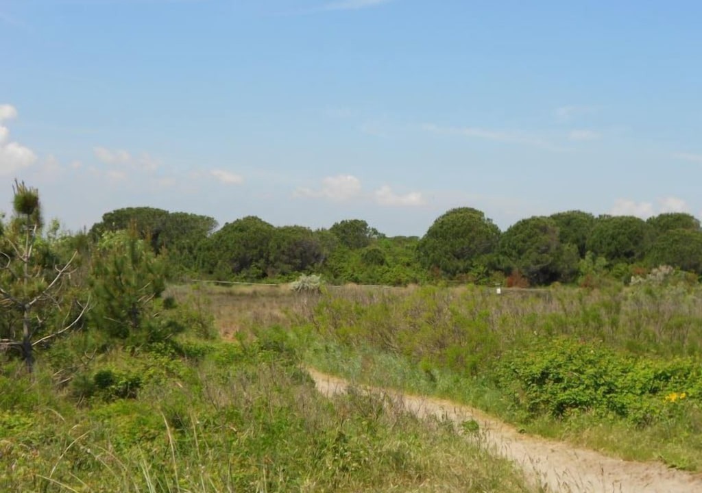 Photo of Outdoor in Rosapineta